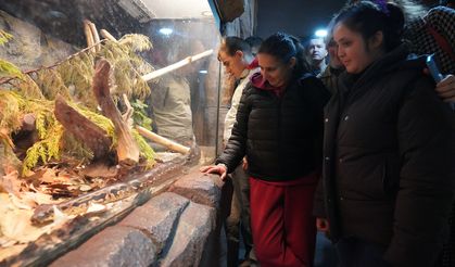 Özel bireyler gezide eğlendi