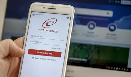 e-Devlet’te Elektronik Para Hesapları Tek Ekranda