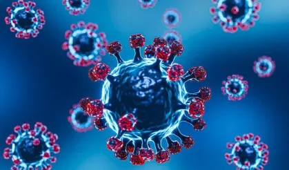 Dünya Alarmda! Nipah Virüsü Nedir, Belirtileri Neler? Türkiye İçin Risk Var mı?