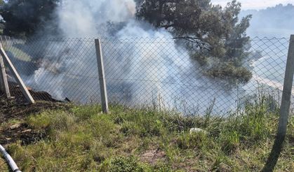 Bilecik’in Söğüt ilçesinde tarlada çıkan ateş ormana sıçradı