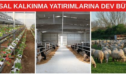Kırsal kalkınma yatırımlarına dev bütçe