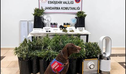 Eskişehir'de Jandarmadan Uyuşturucu Operasyonu