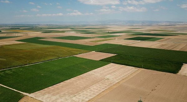 Büyükerşen; ‘Şehrin doğası katledilecek’