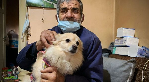 Eskişehir’de şallı köpek hırsızlığı
