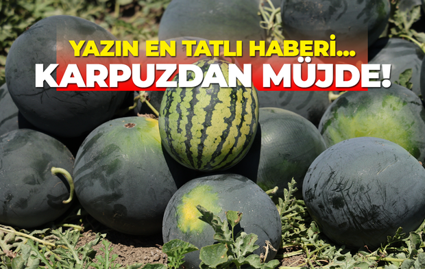 Yazın en tatlı haberi... Karpuzdan müjde!