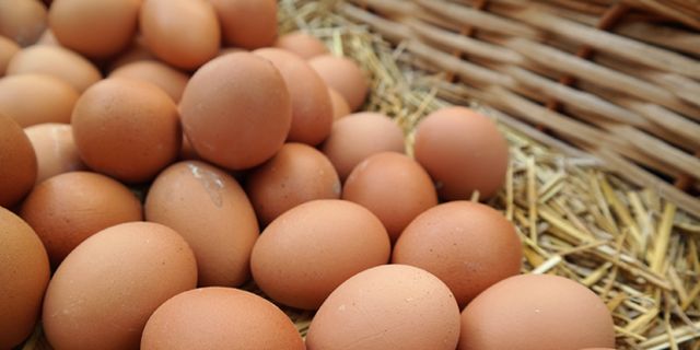 Tüketiciye uygun fiyattan doğal yumurta