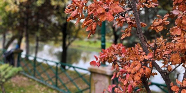 Eskişehir parkları sonbahar renklerine büründü