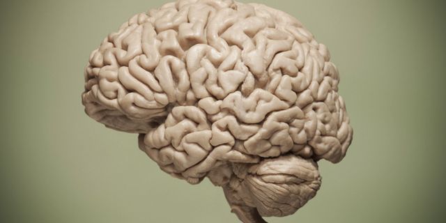 Nöroloji uzmanından beyin krizi konusunda önemli uyarılar
