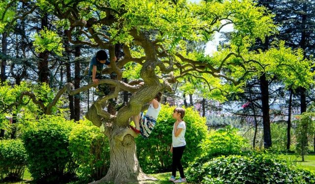 Çocuklar soluğu  kampüste aldı