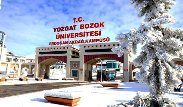 Yozgat Bozok Üniversitesi Öğretim Üyesi alıyor