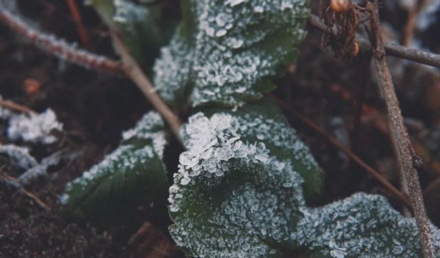 Meteoroloji zirai dona karşı uyardı