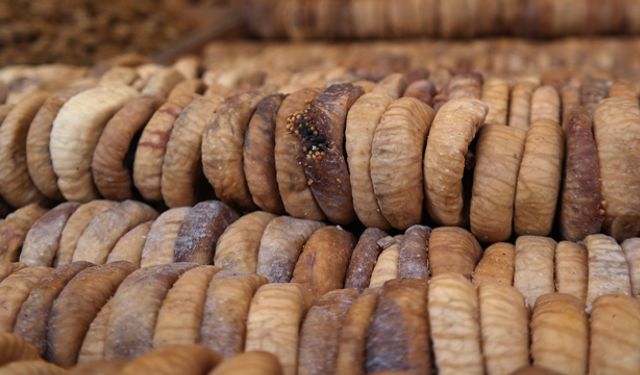 Kuru incirin ihracat yolculuğu 15 Ekim’de başlayacak
