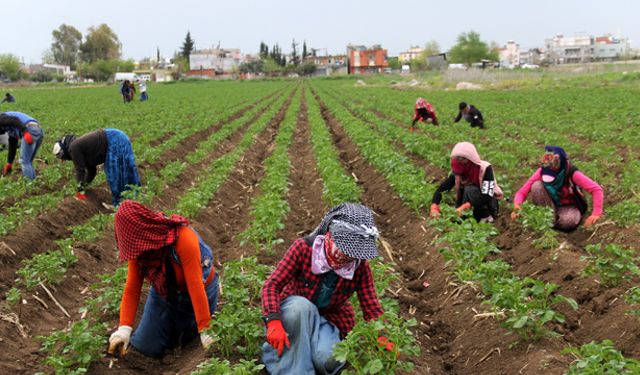 100 bin TL hibe için son başvuru tarihi uzatıldı