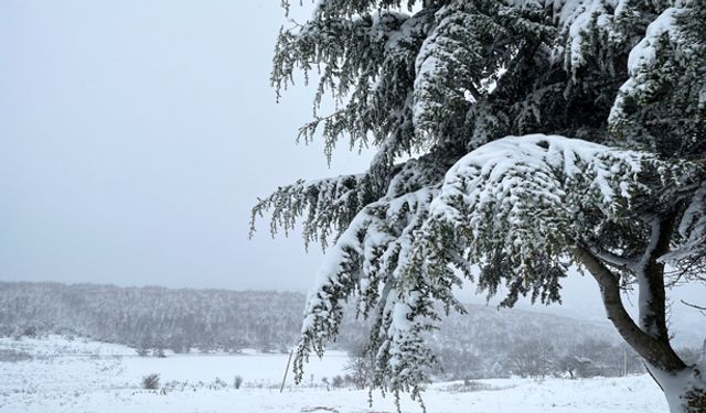 Yağış miktarı ve kar örtüsü ortalamanın üzerine çıktı