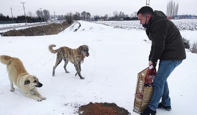 Sokak hayvanları için kırsala yem bırakıldı