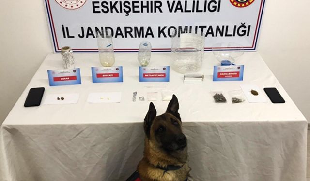 Narkotik köpeği sayesinde uyuşturucu ele geçirildi