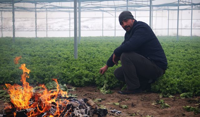 Buz tutan ürünleri için serasında ateş yaktı