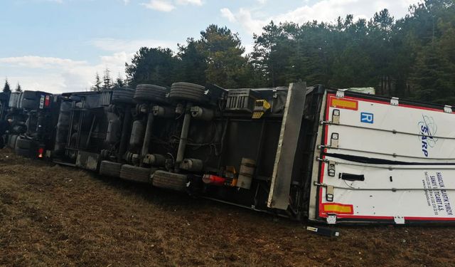 Direksiyon hakimiyetini kaybedince şarampole devrildi