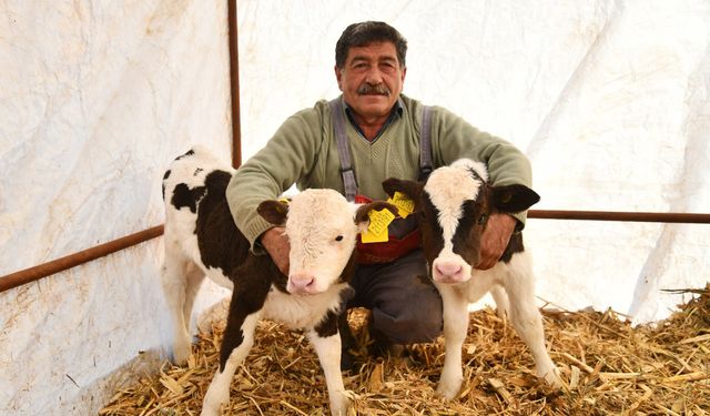 Besiciler için TMO’da ucuz arpa başvuruları başladı