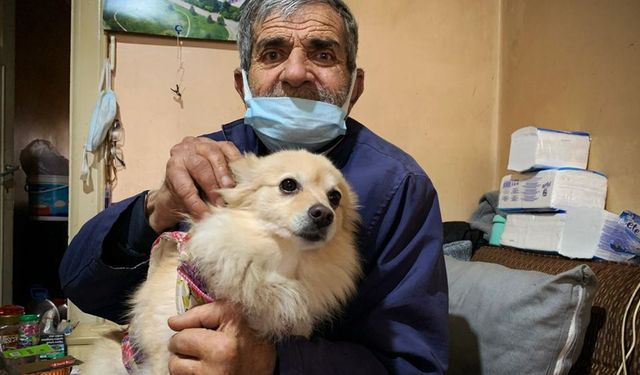 Eskişehir’de şallı köpek hırsızlığı