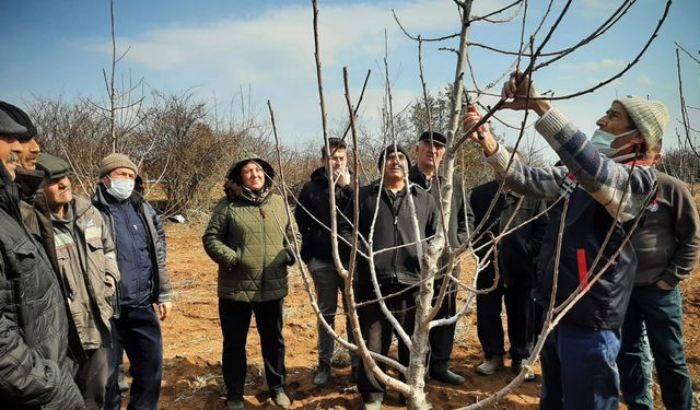 Mihalıççık’ta üreticilere budama eğitimi