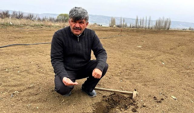 Rüzgarla birlikte kuruyan toprak çiftçiyi şaşkına çevirdi