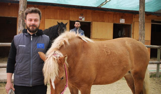 At ile insan ilişkisi içerisinde Hippoterapi yöntemi