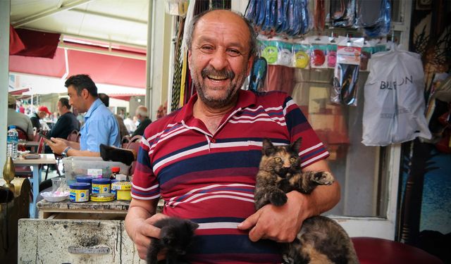 Sahipsiz kedilere boyacı Nevzat sahip çıktı