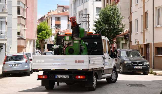 İlaçlama çalışmaları sürüyor