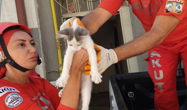 Binanın ikinci katında mahsur kalan kedi AKUT’un operasyonuyla kurtarıldı