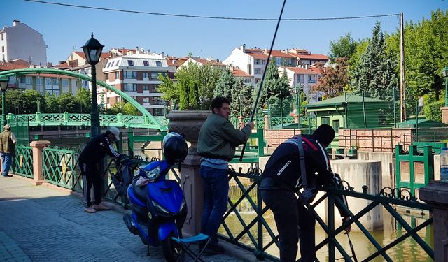 Amatör balıkçılar pazar sabahını Porsuk kenarında geçirdi