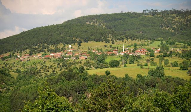 Eskişehir’deki ormanlık alanlara girişler yasaklandı