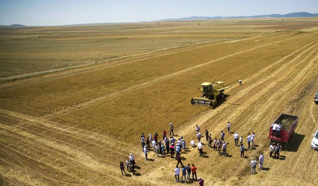 Eskişehir’de ‘İyi Tarım Sertifikalı’ çörekotu üretildi