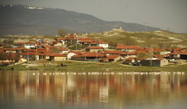 Seyitgazi ovasını sulayan Kunduzlar Barajı’nda su seviyesi azaldı