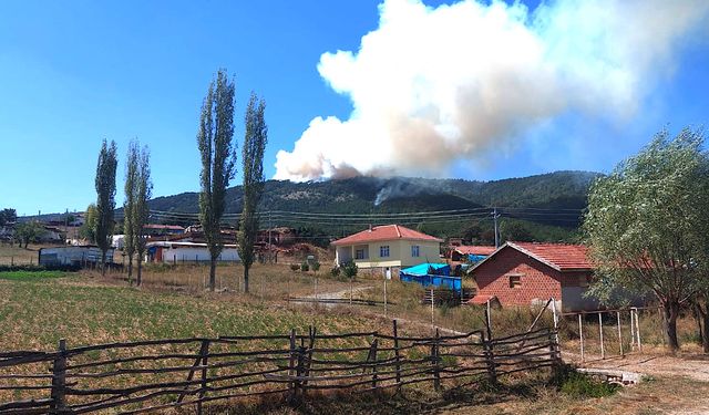 Eskişehir’de orman yangını