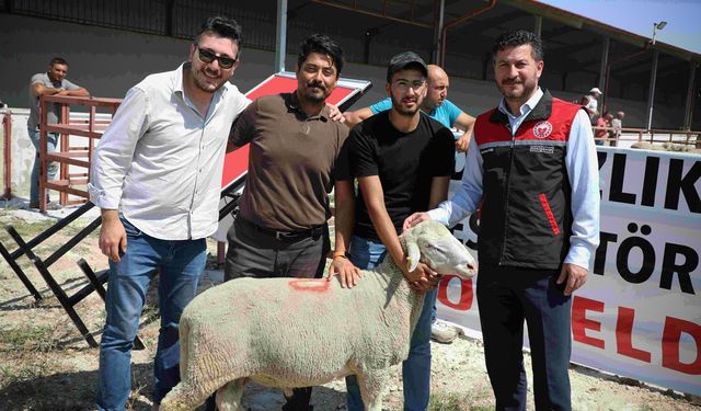 Yüzde 50 hibeli damızlık 44 koç çekilişle sahiplerini buldu