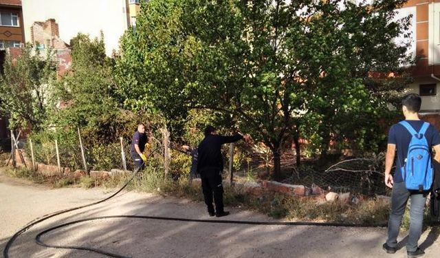 Terk edilmiş evin bahçesinde yangın çıktı