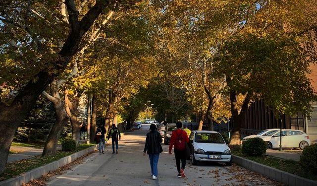 Anadolu Üniversitesi'nde eşsiz sonbahar manzaraları