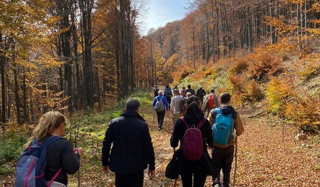 Eşsiz sonbahar manzarasında doğa yürüyüşü