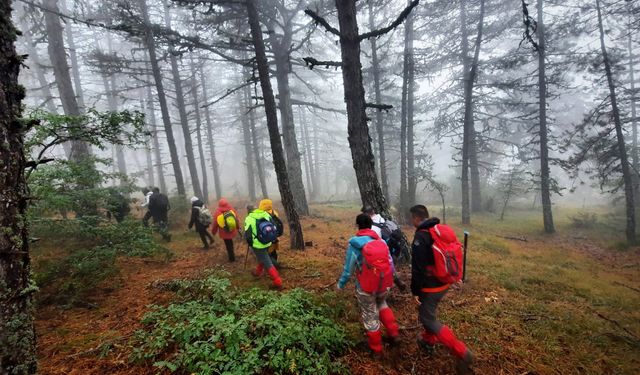 Sonbahar manzarasında 15 kilometrelik doğa yürüyüşü