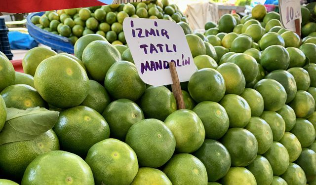 Mandalina tezgaha düştü, vatandaş ilgi gösterdi