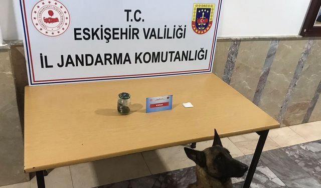 Jandarmadan uyuşturucu madde operasyonu