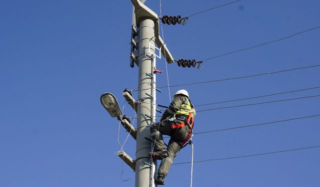 Göçmen kuşları elektrik akımından koruyacaklar