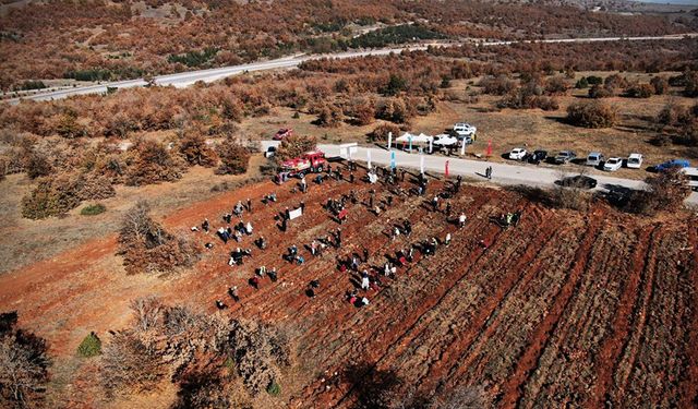 İnönü’de 5 bin fidan toprakla buluştu