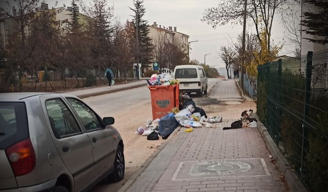 Konteynerden taşan çöpler kaldırımı kapladı