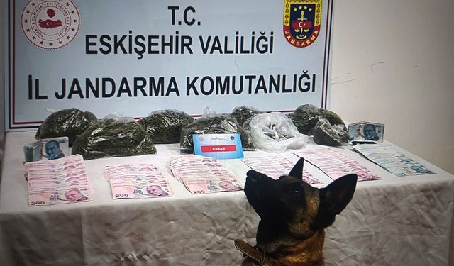 Jandarmadan uyuşturucu operasyonu