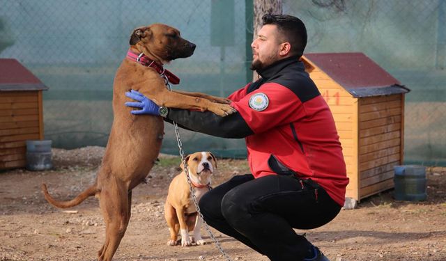 Odunpazarı Belediyesi: "Görüntüler gerçeği yansıtmamaktadır"