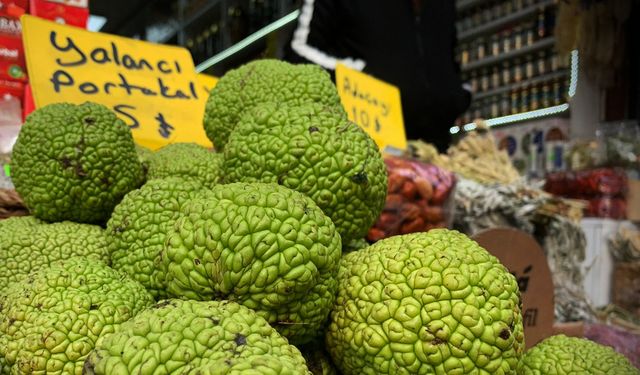 Vatandaşın ağrı kesici arayışına “Yalancı portakal” yetişti