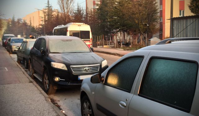 Eskişehir'de kırağı etkili oldu