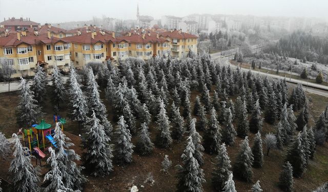 Eskişehir'den kış manzaraları (VİDEO HABER)